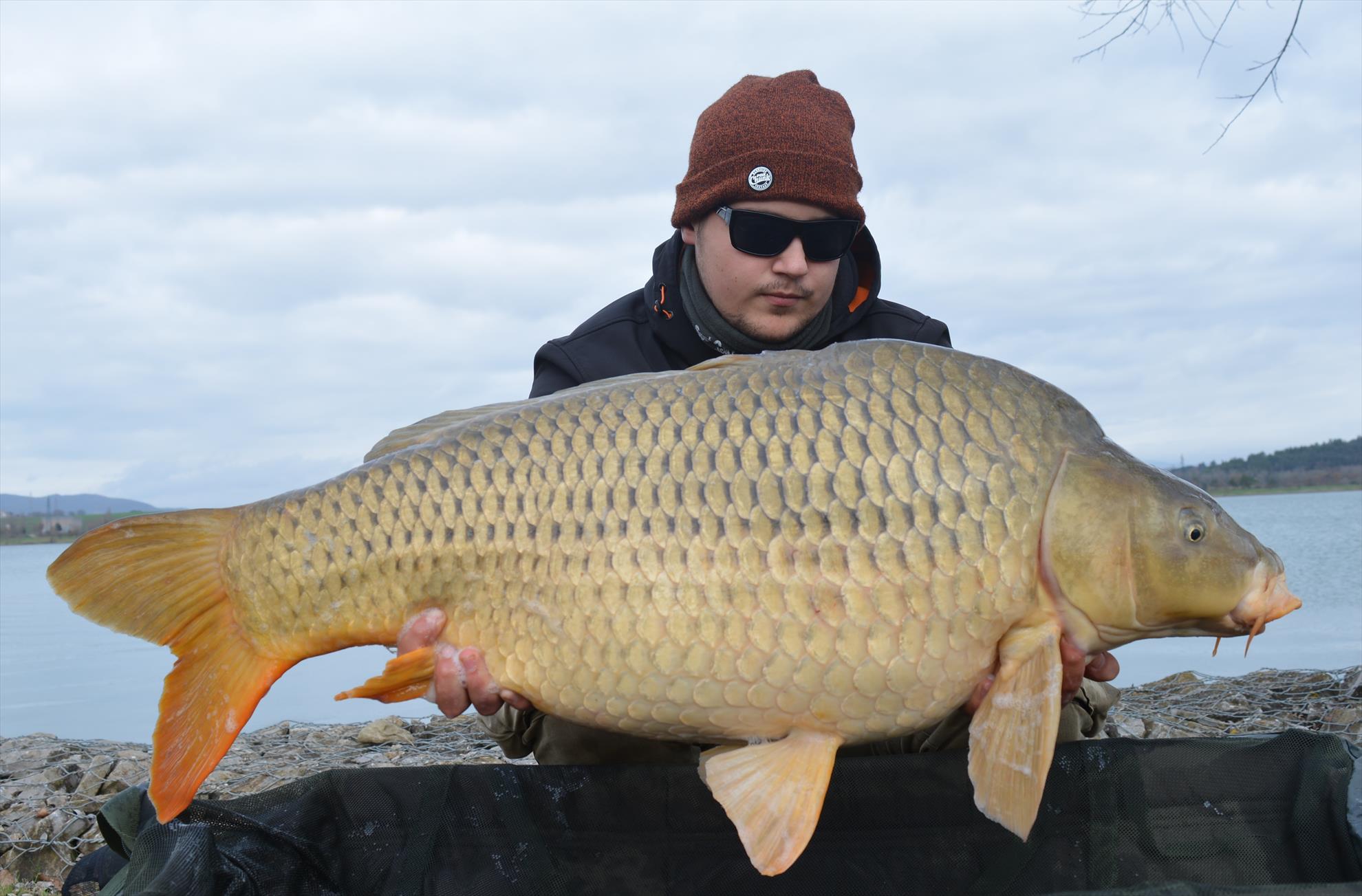 Pe urmele crapilor mari.